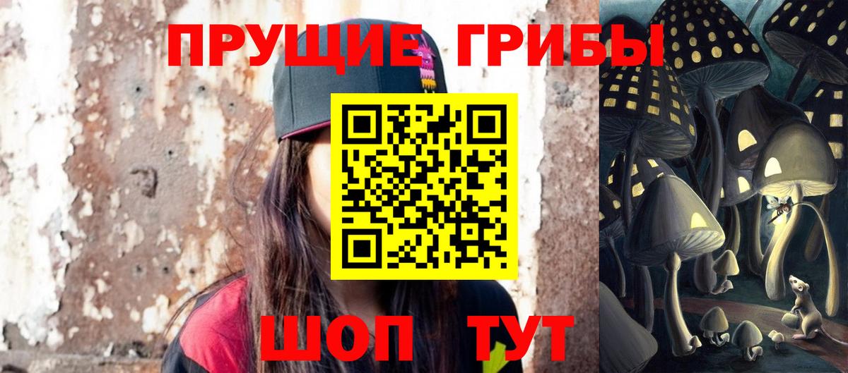 Псилоцибиновые грибы Psilocybine cubensis Урус-Мартан