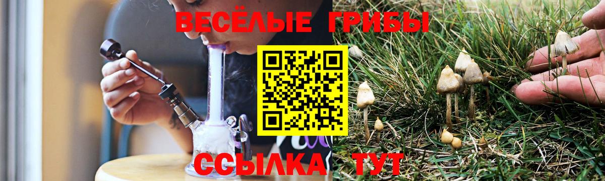 Галлюциногенные грибы Magic Shrooms  Вход с VPN  Галлюциногенные грибы Magic Shrooms  Урус-Мартан 